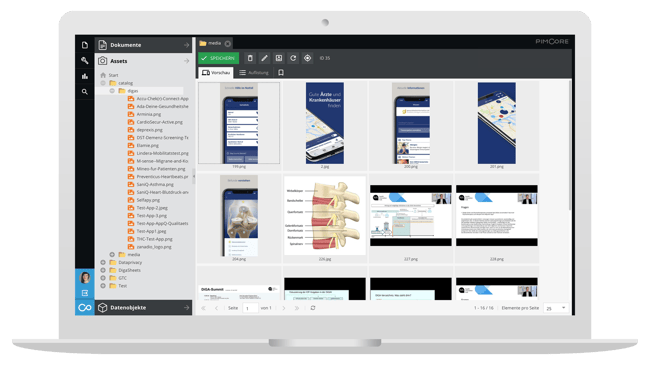 Basilicom Launches the CGM App Prescription Center in Record Time With Pimcore